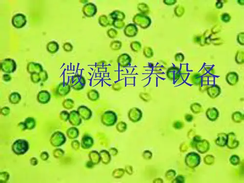 微藻生产设备