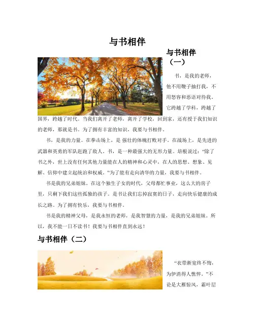 与书相伴(共10篇)
