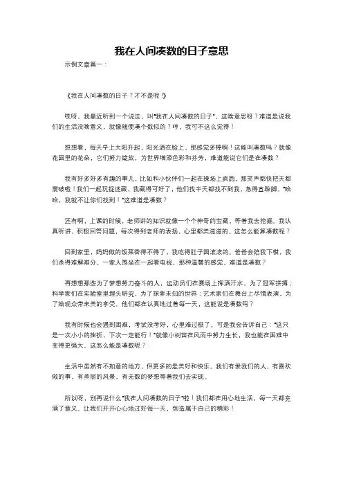 我在人间凑数的日子意思
