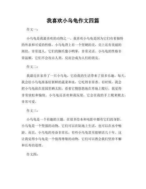 我喜欢小乌龟作文四篇