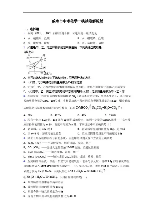 威海市中考化学一模试卷解析版