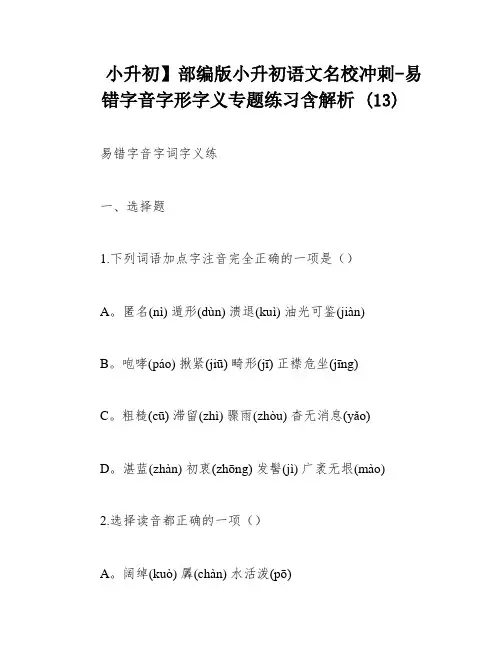 小升初】部编版小升初语文名校冲刺-易错字音字形字义专题练习含解析 (13)