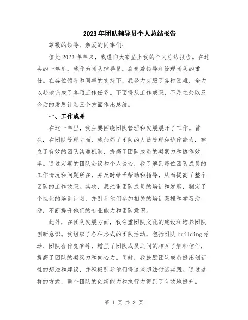 2023年团队辅导员个人总结报告