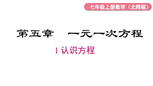 5.1 认识方程 课件  (共20张PPT) 北师大版数学七年级上册