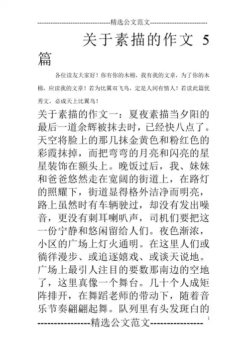 关于素描的作文5篇_0