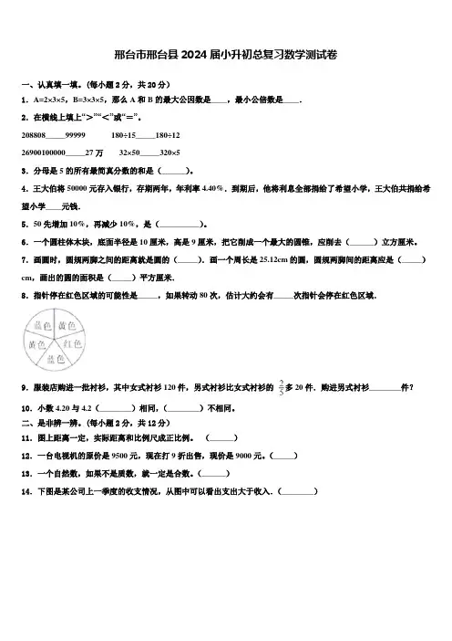 邢台市邢台县2024届小升初总复习数学测试卷含解析