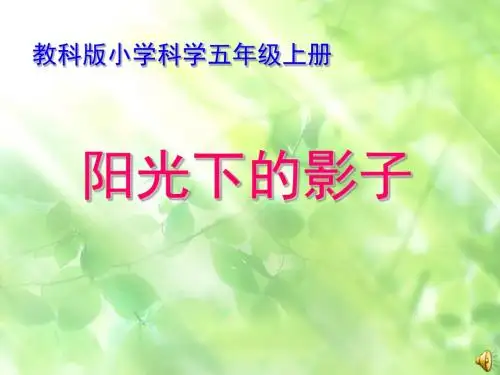 阳光下的影子课件
