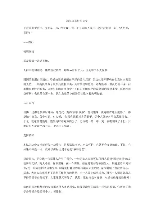 遇见你遇见美好作文800字