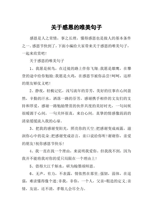 关于感恩的唯美句子_对别人表达感恩的句子