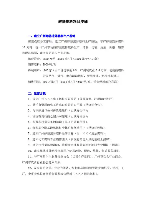 醇基燃料项目步骤