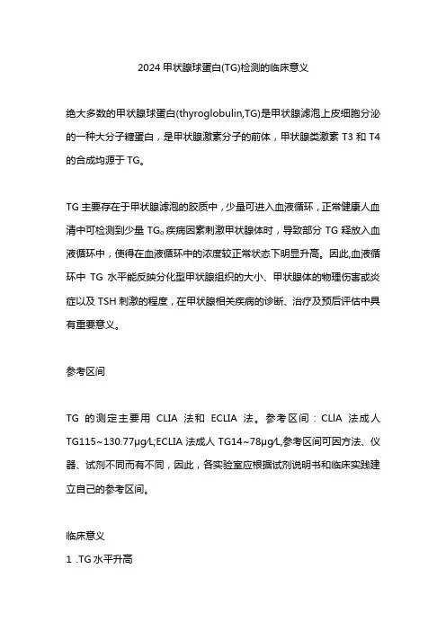2024甲状腺球蛋白 (TG)检测的临床意义