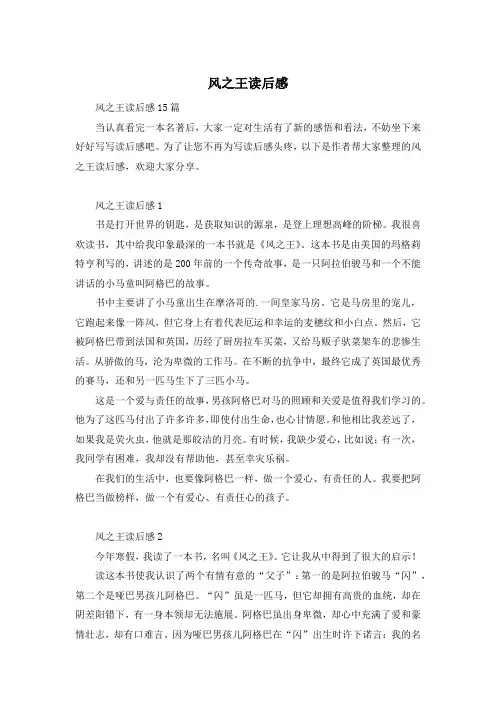 风之王读后感