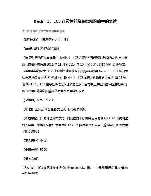 Beclin 1、LC3在恶性纤维组织细胞瘤中的表达