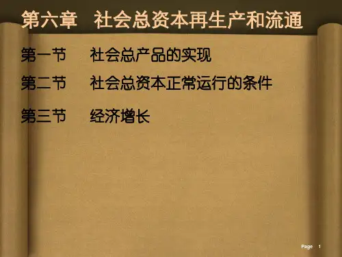 19现代政治经济学 第六章PPT课件