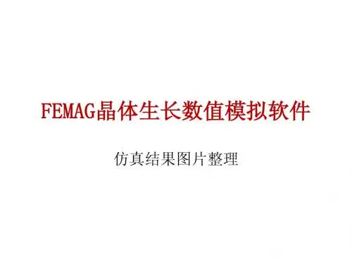 FEMAG晶体生长数值模拟软件--仿真结果图片