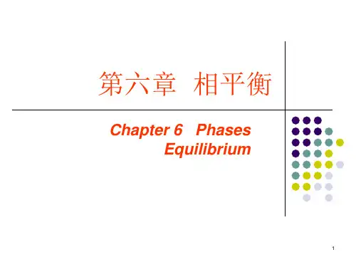 第六章 相平衡(二)