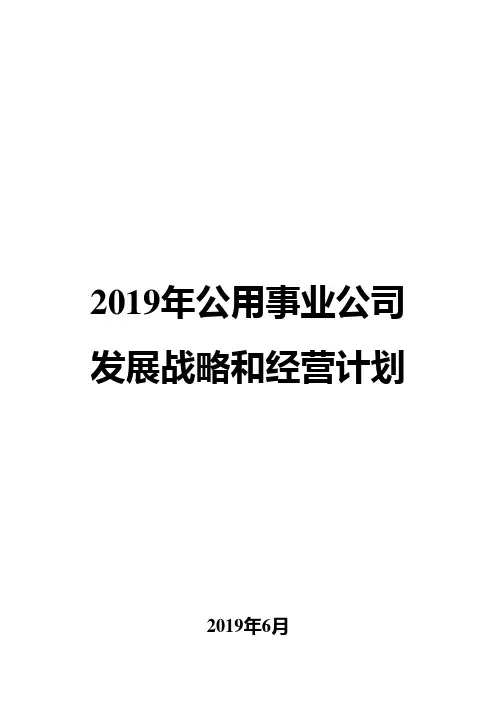 2019年公用事业公司发展战略和经营计划