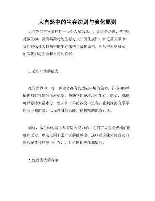 大自然中的生存法则与演化原则