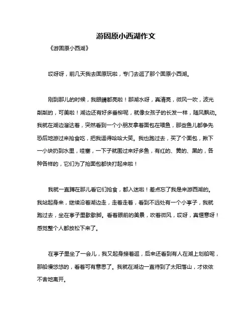游固原小西湖作文