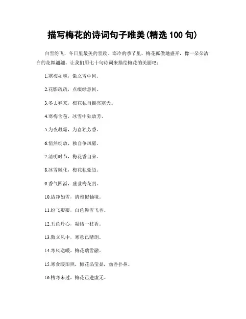 描写梅花的诗词句子唯美(精选100句)