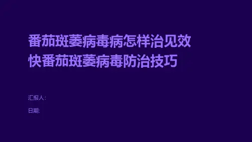 番茄斑萎病毒病怎样治见效快番茄斑萎病毒防治技巧