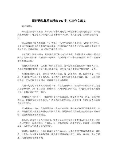 刚好遇见你范文精选800字_初三作文范文