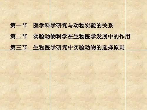 动物实验【PPT课件】
