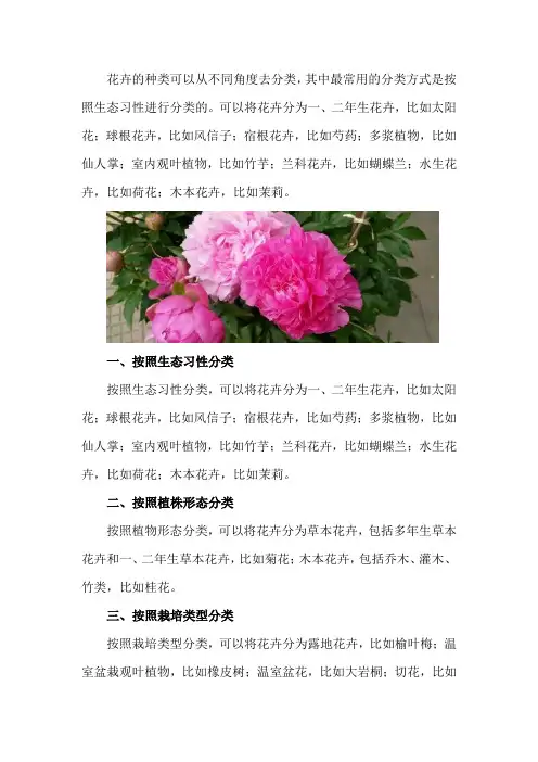 花卉的分类