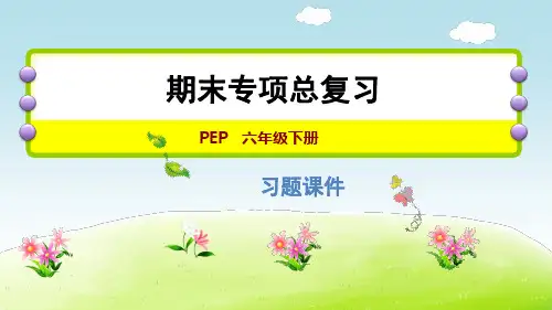 人教版PEP英语六年级下册(阅读理解专项(一))复习PPT课件