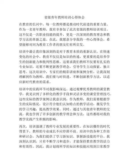 省级青年教师培训心得体会