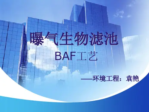 曝气生物滤池 BAF