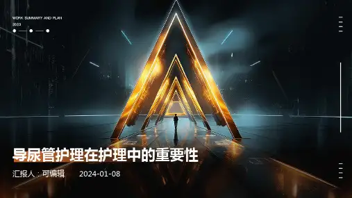 护理中的导尿管护理