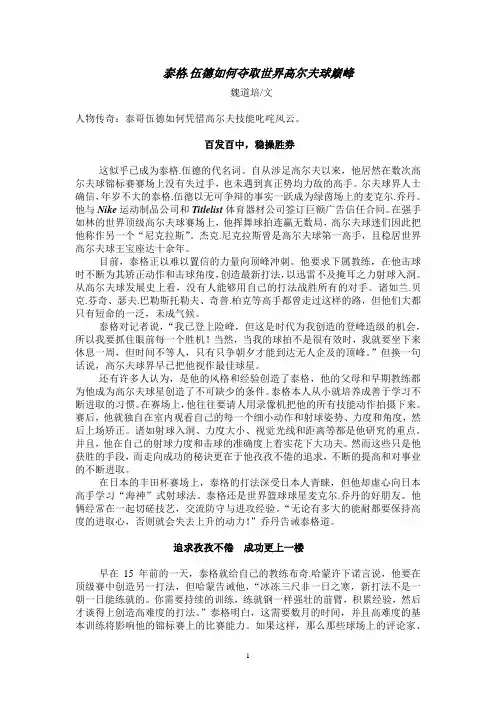 泰格伍德传奇