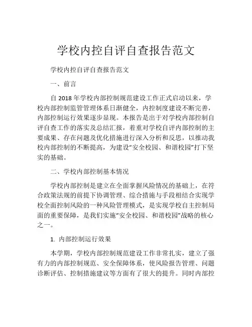 学校内控自评自查报告范文