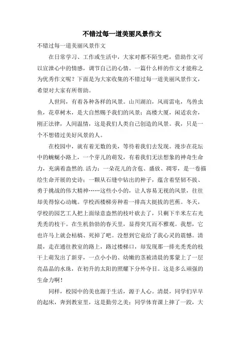 不错过每一道美丽风景作文