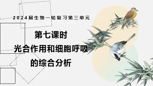 高三生物一轮复习课件第七课时光合作用与细胞呼吸综合应用