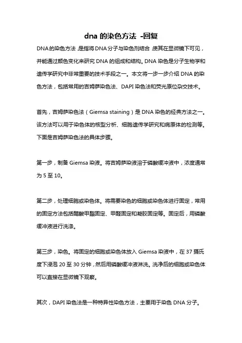 dna的染色方法 -回复
