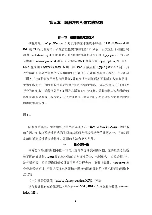 组织病理学-增殖与凋亡