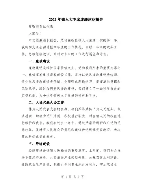 2023年镇人大主席述廉述职报告