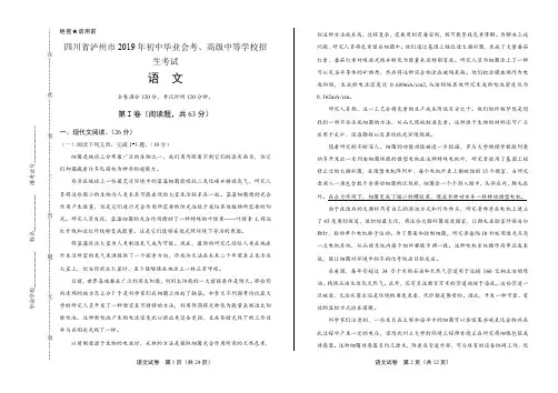 2019年四川省泸州中考语文试卷含答案