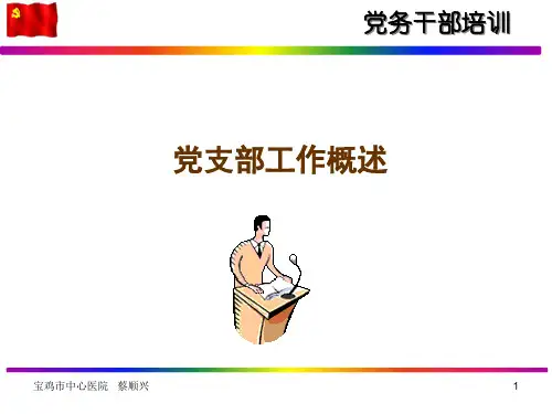 党支部工作概述