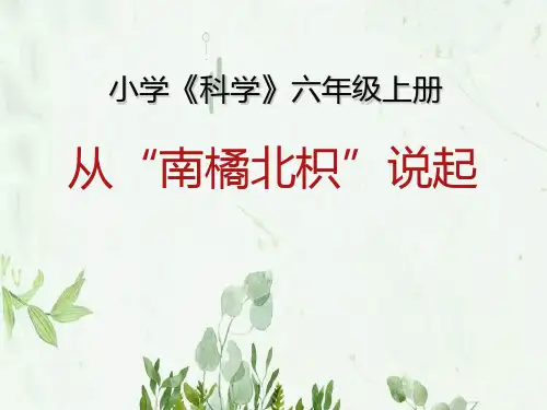 《从南橘北枳说起》下载PPT课件 图文