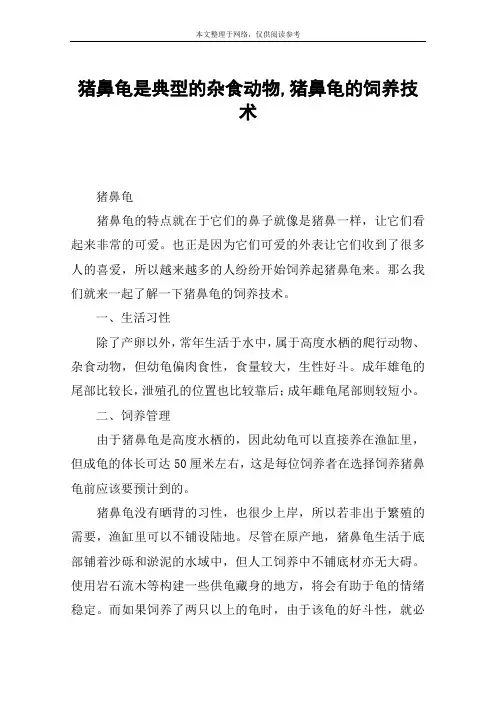 猪鼻龟是典型的杂食动物,猪鼻龟的饲养技术