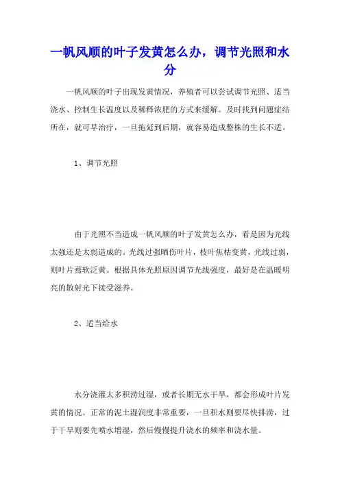 一帆风顺的叶子发黄怎么办,调节光照和水分