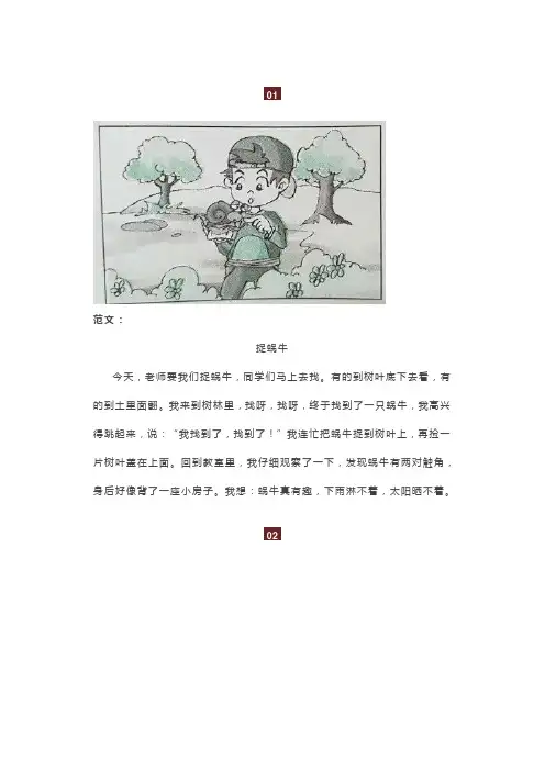 二年级语文下册 看图写话范文38篇