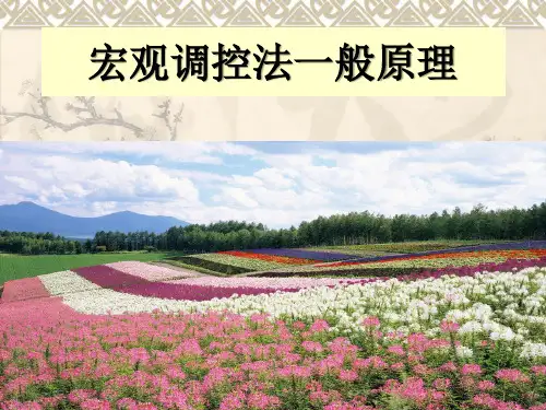 宏观调控法一般原理