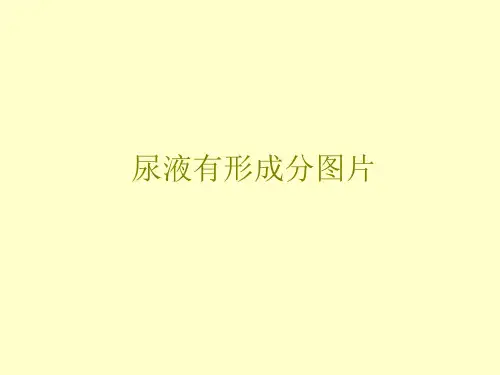 尿液形态学