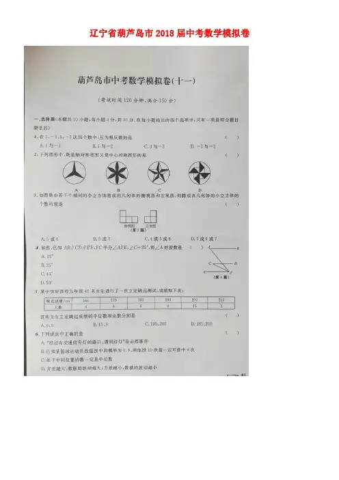 辽宁省葫芦岛市2018届中考数学模拟卷(十一)(扫描版)