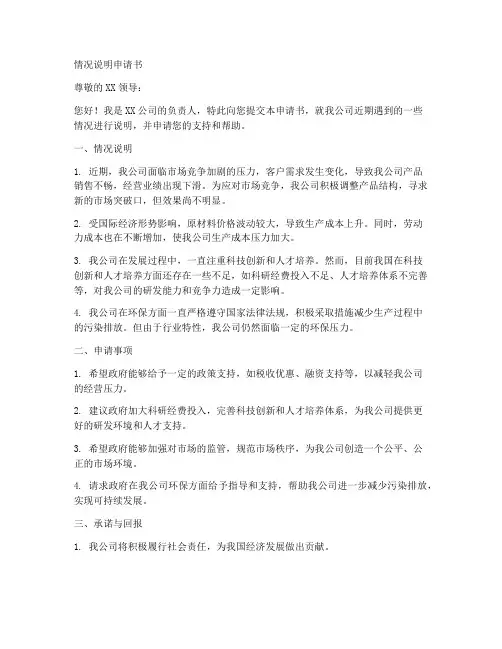情况说明申请书格式模板