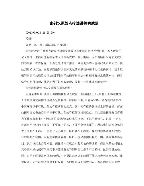张钊汉原始点疗法讲解实践篇